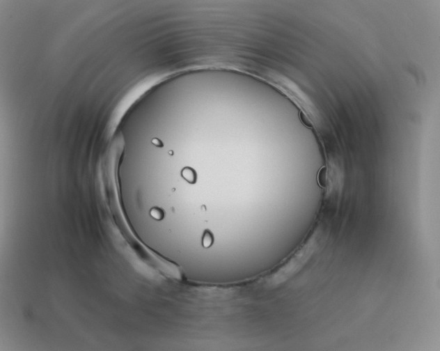 X0000113910812200910081848