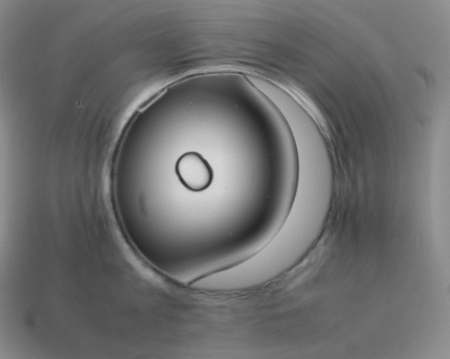 X0000113910813200910081848