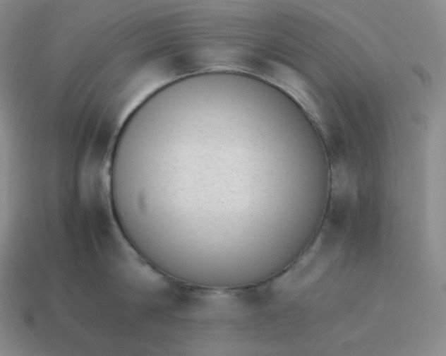 X0000113910814200910081848