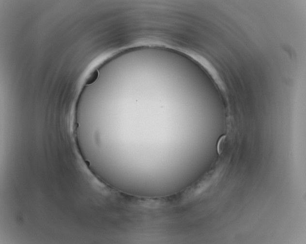 X0000113910815200910081848