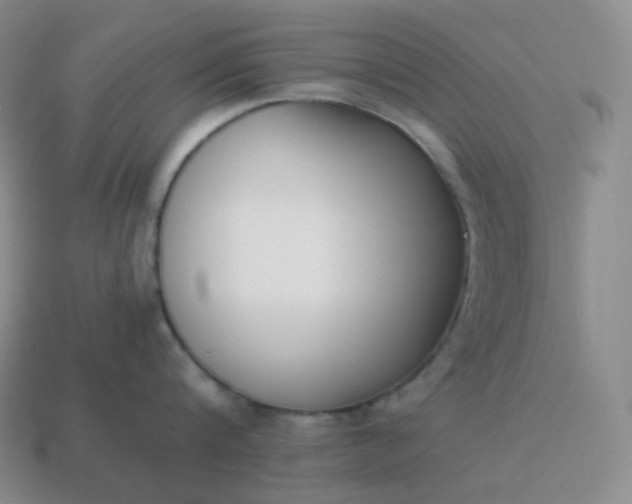 X0000113910816200910081848