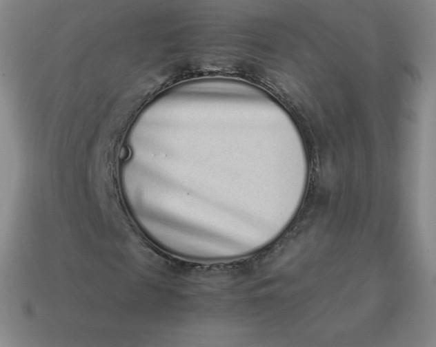 X0000113910817200910081847