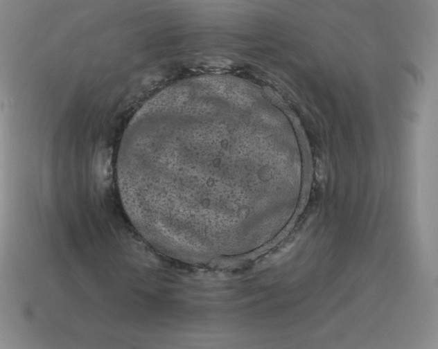 X0000113910818200910081847