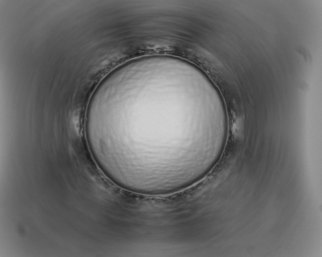 X0000113910819200910081847