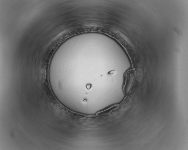 X0000113910821200910081847