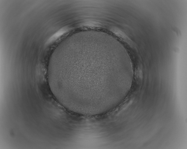 X0000113910822200910081848