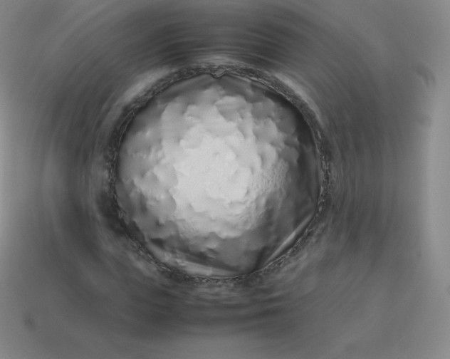 X0000113910823200910081848