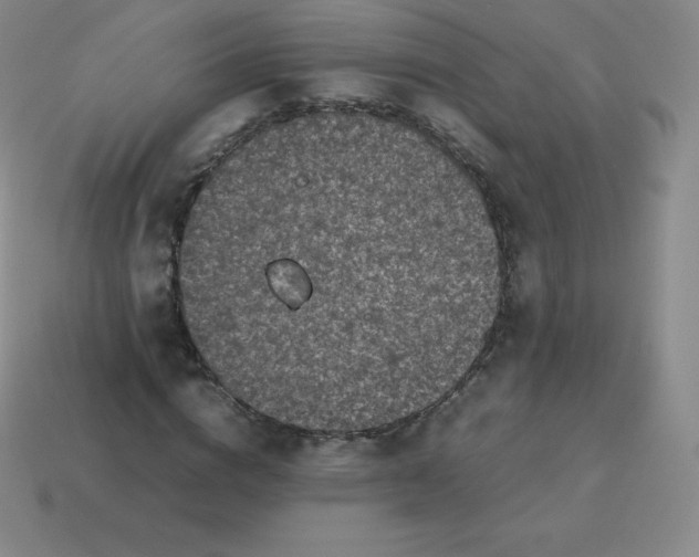 X0000113910824200910081848