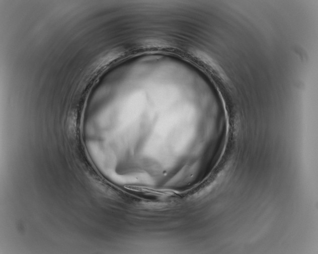 X0000113910825200910081848