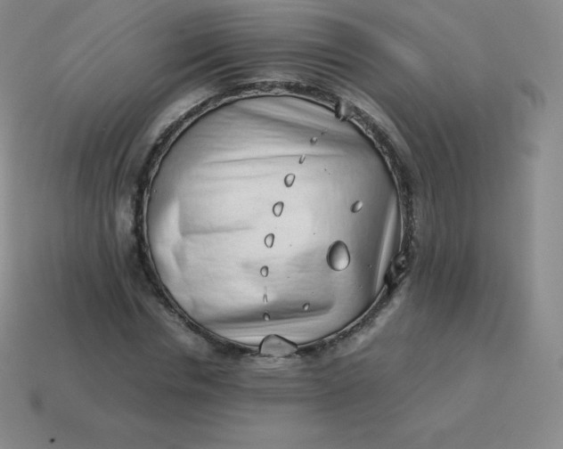 X0000113910826200910081848