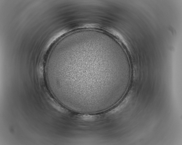 X0000113910827200910081848