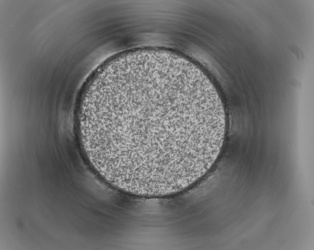 X0000113910828200910081848