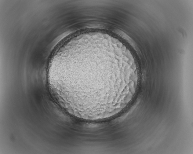 X0000113910829200910081848