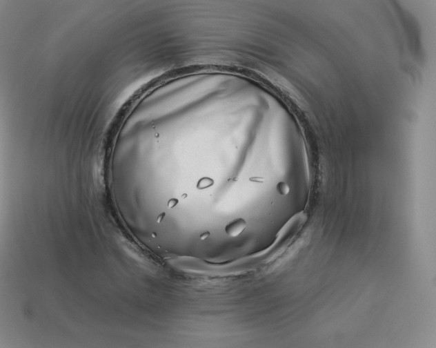 X0000113910830200910081848