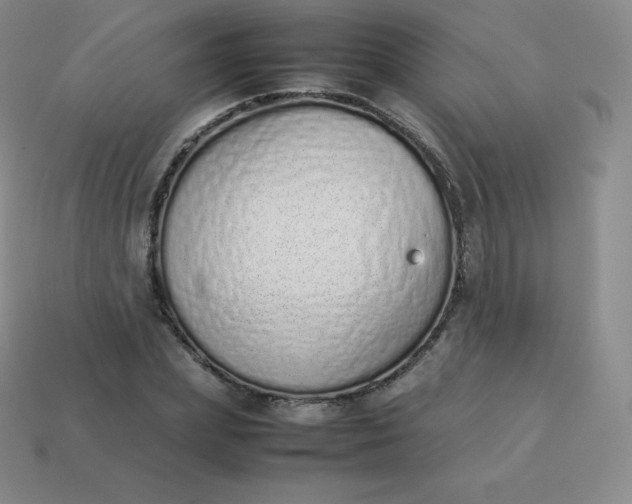 X0000113910831200910081848