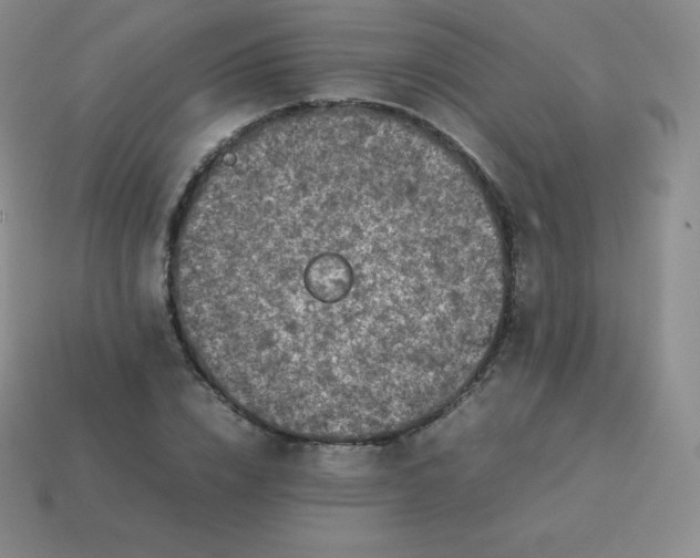 X0000113910832200910081848