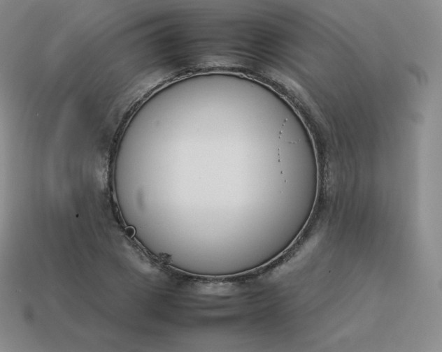 X0000113910833200910081848