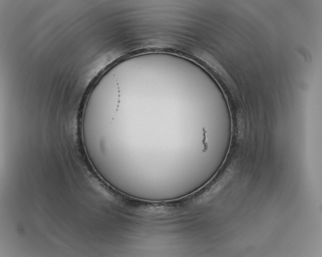 X0000113910834200910081848