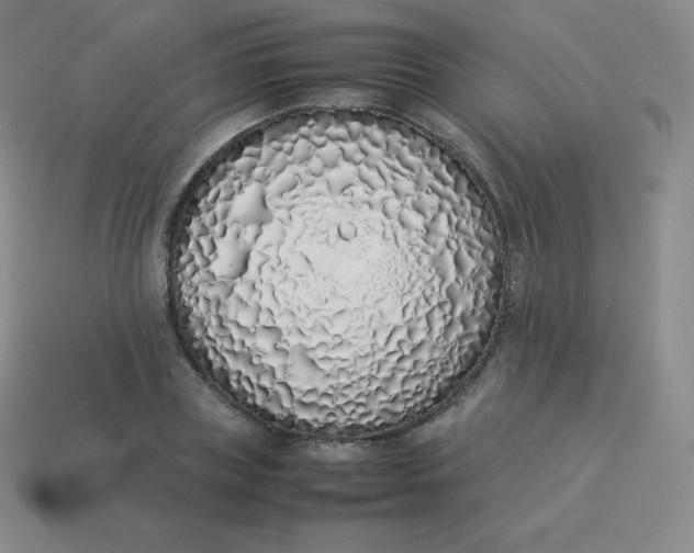 X0000113910835200910081848