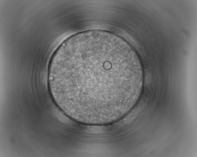 X0000113910836200910081848