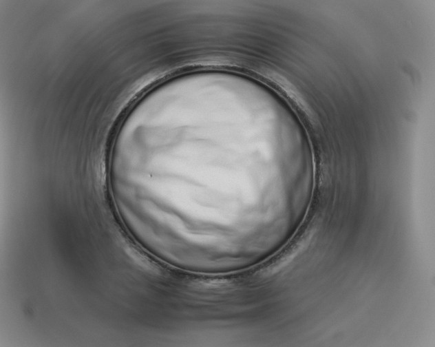 X0000113910837200910081848