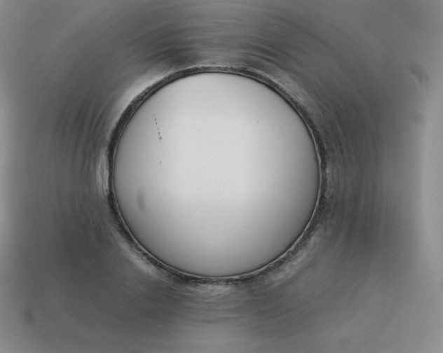 X0000113910838200910081848