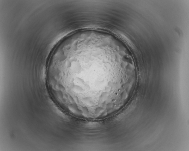 X0000113910839200910081848