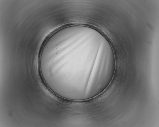 X0000113910840200910081848