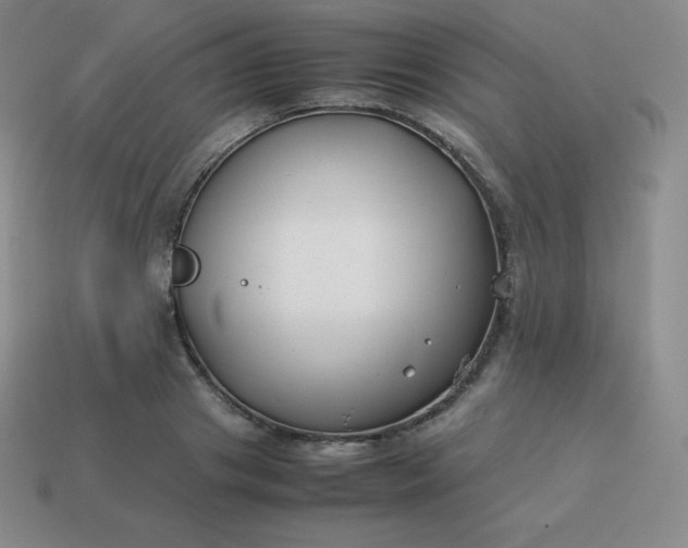 X0000113910841200910081848