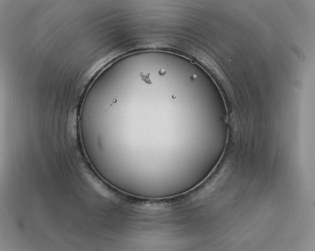 X0000113910842200910081848