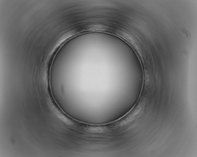 X0000113910843200910081848