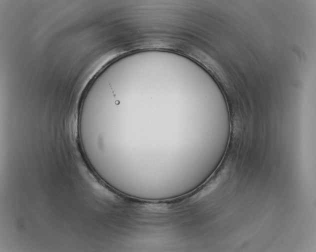 X0000113910844200910081848