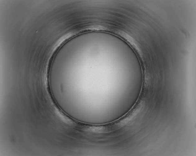 X0000113910845200910081848