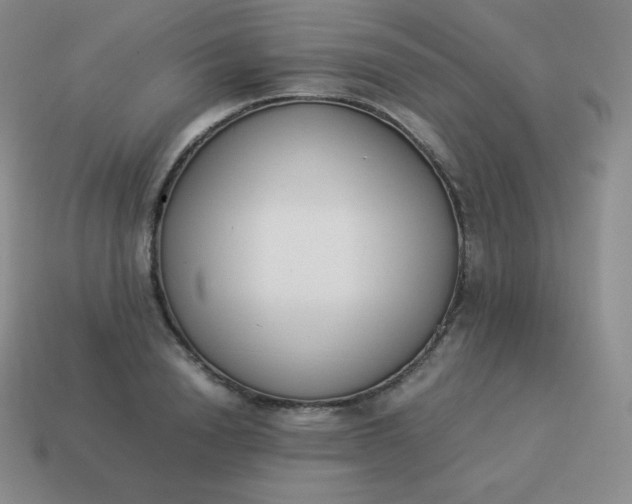 X0000113910846200910081848