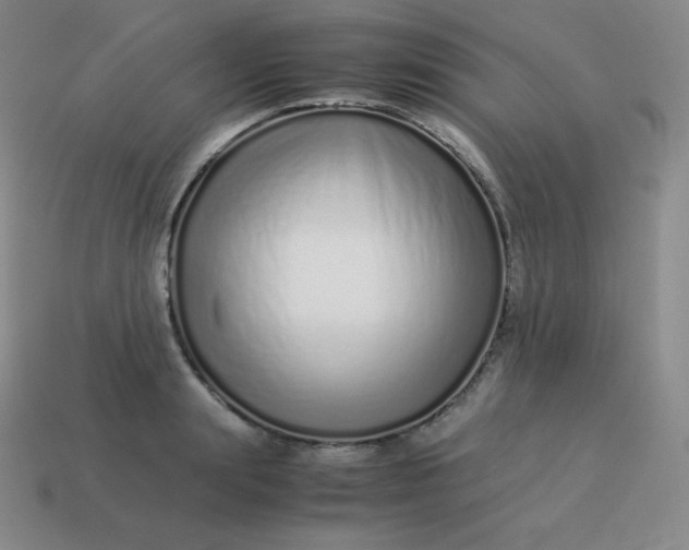 X0000113910847200910081848