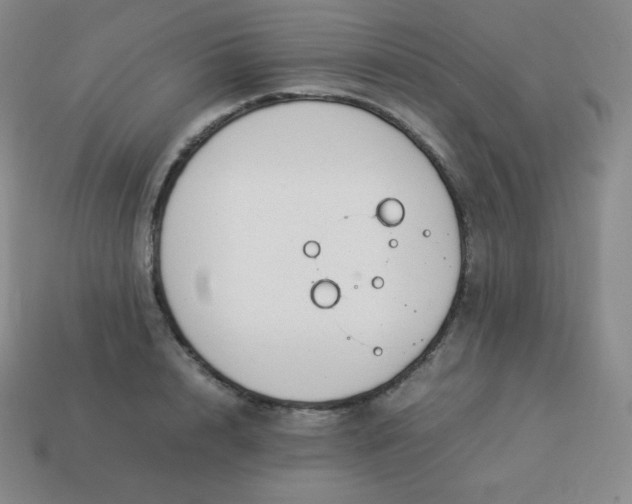 X0000113910848200910081848