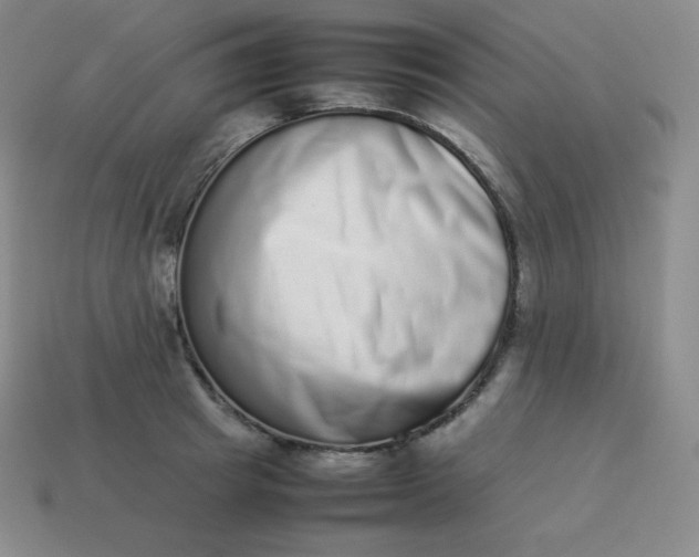 X0000113910849200910081848