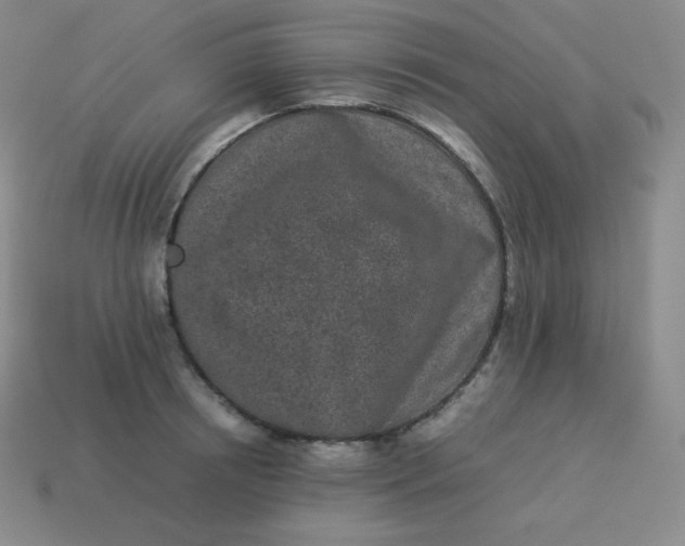 X0000113910850200910081848