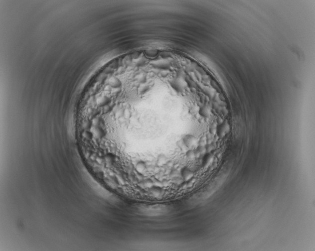 X0000113910851200910081848