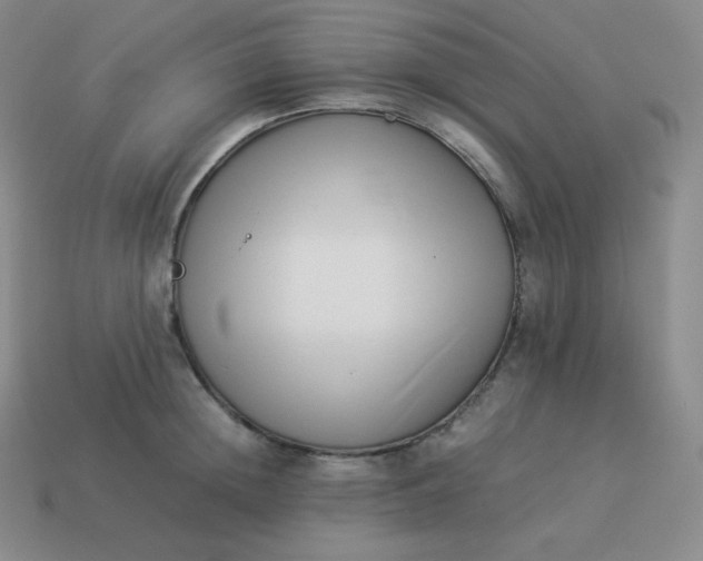 X0000113910852200910081848