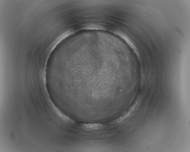 X0000113910853200910081848