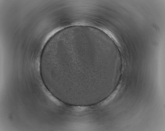 X0000113910854200910081848