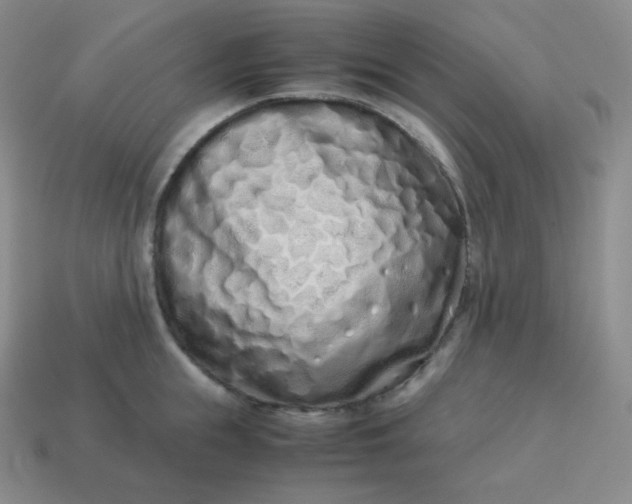 X0000113910855200910081848