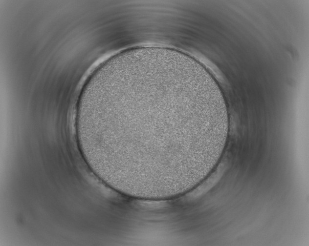 X0000113910856200910081848