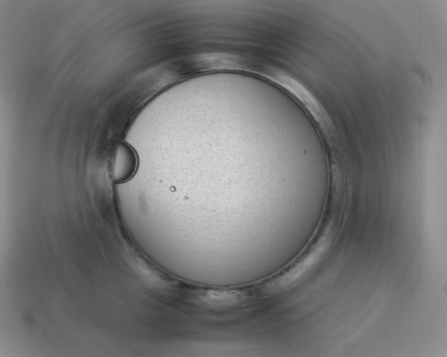 X0000113910857200910081848