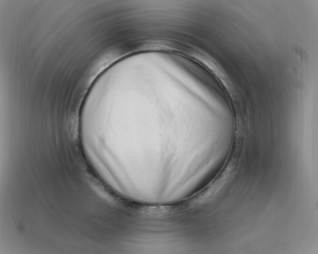 X0000113910858200910081848