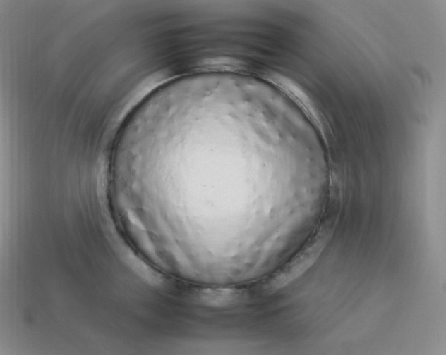 X0000113910859200910081848