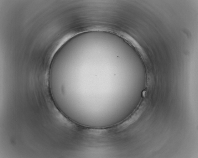 X0000113910860200910081848