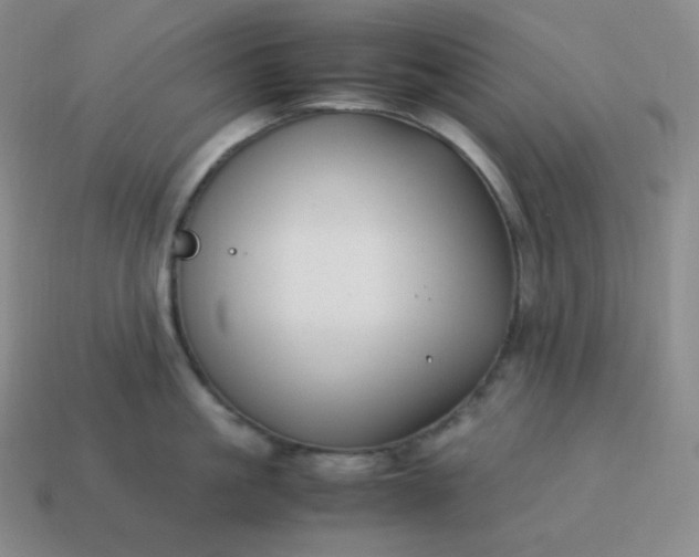 X0000113910861200910081848