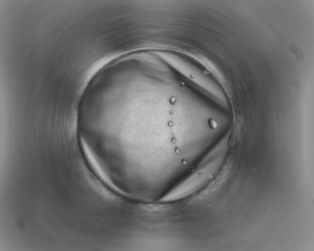 X0000113910862200910081848